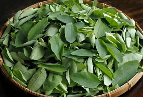 rau mùa hè, rau ngậm nhiều hóa chất, an toàn thực phẩm