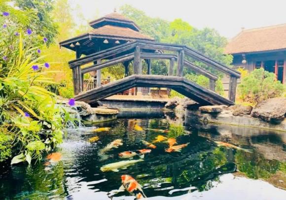 nghệ sĩ Hoàng Mập, sao Việt