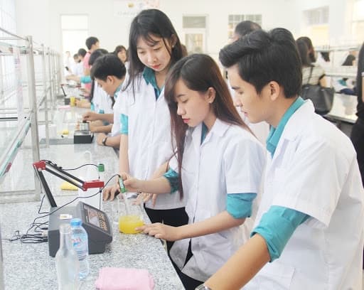bỏ phố về quê, ngành nghề, chọn nghề ở quê