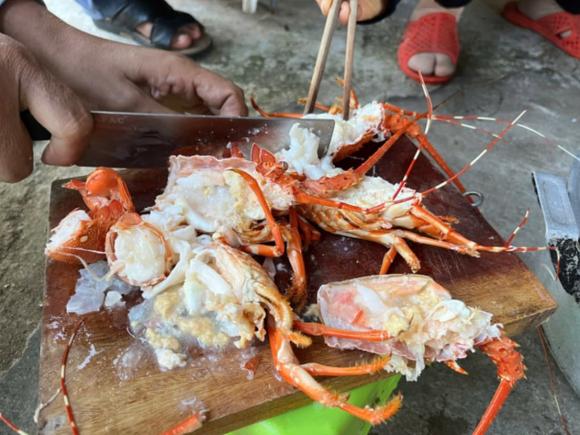 thực phẩm bẩn, tôm hùm, kiến thức