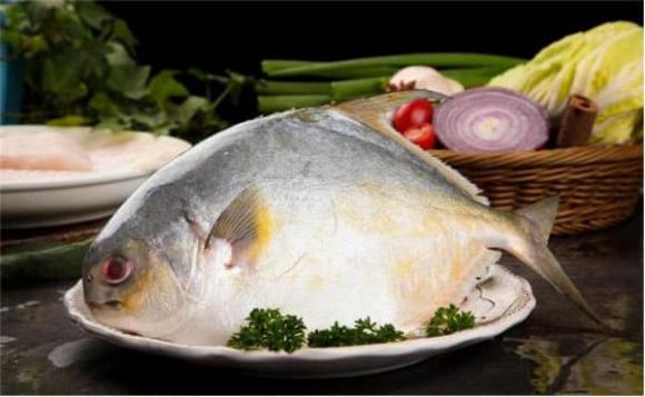 ăn cá, cá biển, thực phẩm