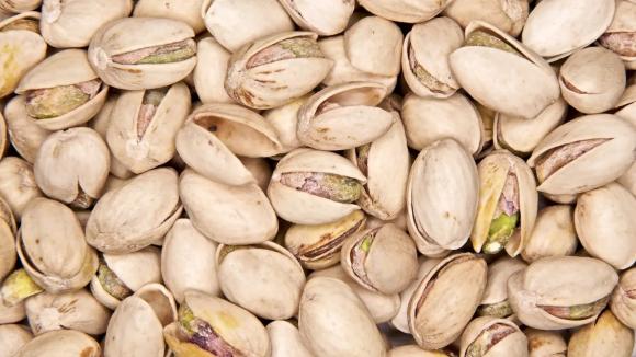 tại sao, kiến thức, lúa mì và gạo, lương thực