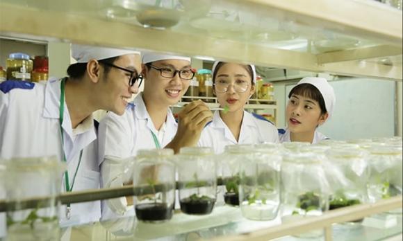 ngành sinh học, công nghệ sinh học, y sinh 
