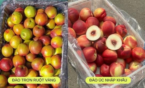quả đào, loại quả giàu chất chống oxy hóa, mùa hè