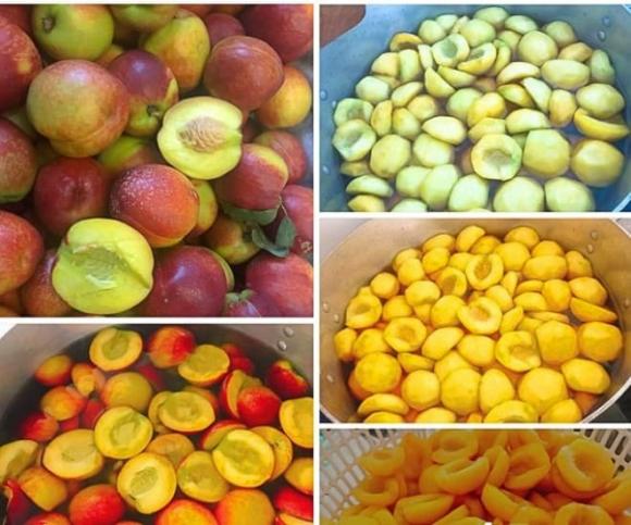 quả đào, loại quả giàu chất chống oxy hóa, mùa hè