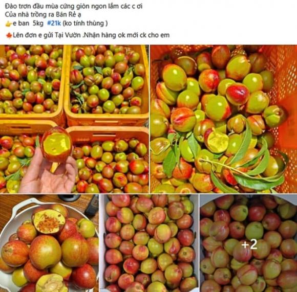 quả đào, loại quả giàu chất chống oxy hóa, mùa hè