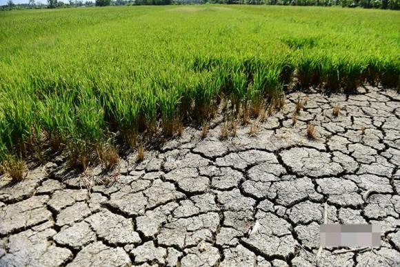 dự báo thời tiết