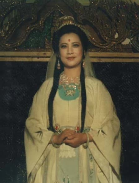 Tả Đại Phân, Quan Âm Bồ Tát, Tây Du Ký