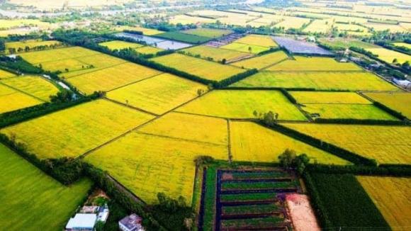 bến tre, tỉnh bến tre, kiến thức