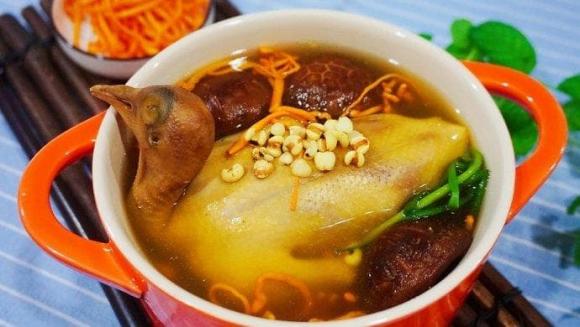 chim bồ câu
