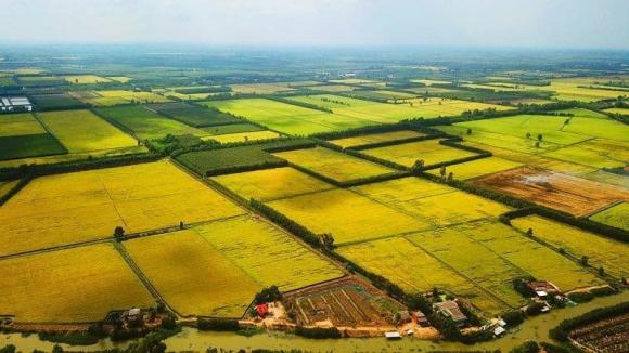 Luật Đất đai 2024, Điều kiện chuyển nhượng đất nông nghiệp