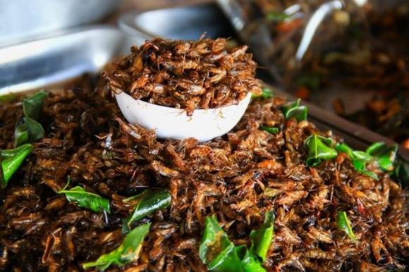 Dế trũi, đặc sản dế trũi