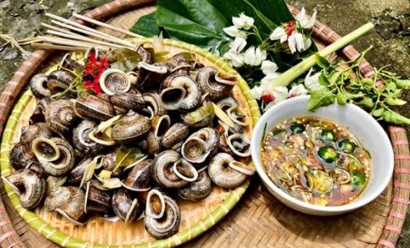 ốc núi đá, ốc xuất hiện vào ban đêm, Ninh Bình