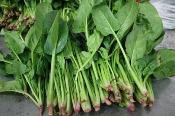 bệnh dạ dày
