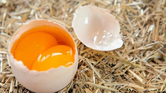 trứng 2 lòng đỏ, trứng 2 lòng, trứng một lòng đỏ, trứng tiêm hormone