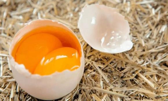 trứng 2 lòng đỏ, trứng hormone, gà đẻ trứng