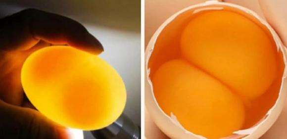 trứng 2 lòng đỏ, trứng 2 lòng, trứng một lòng đỏ, trứng tiêm hormone