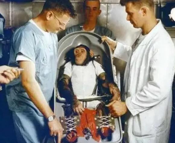 bé gái ghép tim khỉ đầu chó, Leonard Bailey