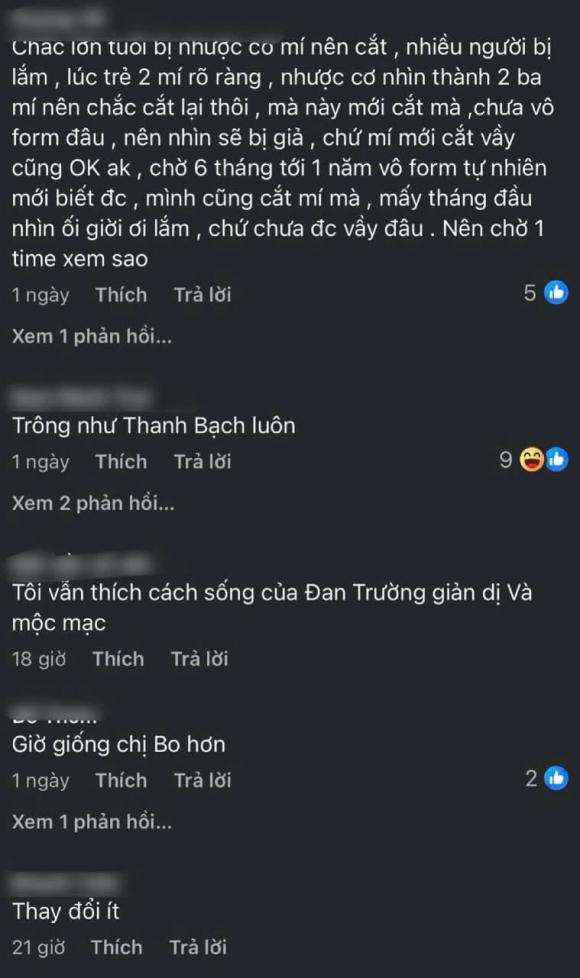 đan trường, sao việt 