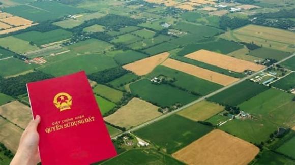 Luật Đất đai 2024, đất trồng cây lâu năm, đất có thời hạn sử dụng không quá 50 năm