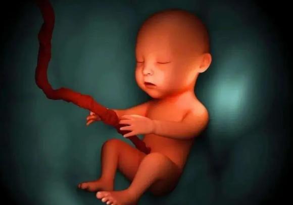 nước ối, vai trò của nước ối