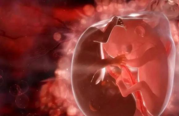 nước ối, vai trò của nước ối