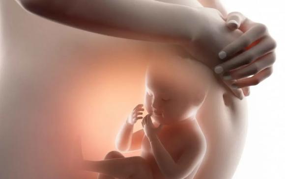 nước ối, vai trò của nước ối