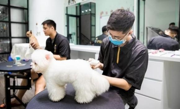 lĩnh vực kinh doanh, ngành nghề, cách làm giàu