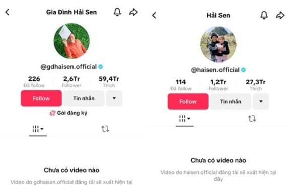 Hải Sen, Hải Sen bị bắt, Hải Sen là ai