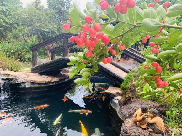 danh hài Hoàng Mập,nghệ sĩ Hoàng Mập, sao Việt