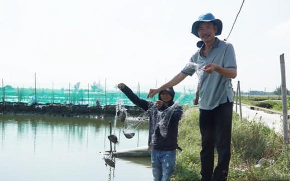 Nuôi thuỷ sản, nuôi cá, mô hình nuôi cá