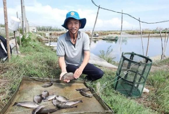 Nuôi thuỷ sản, nuôi cá, mô hình nuôi cá