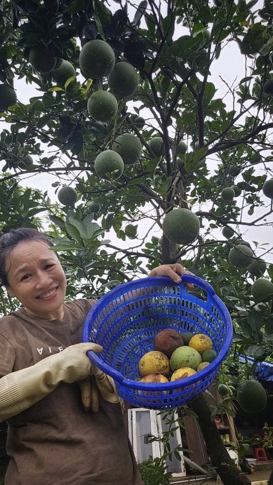 Sao Việt 18/6, tin sao việt mới nhất