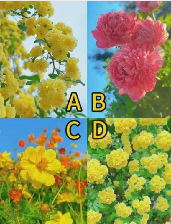 Trắc nghiệm tâm lý