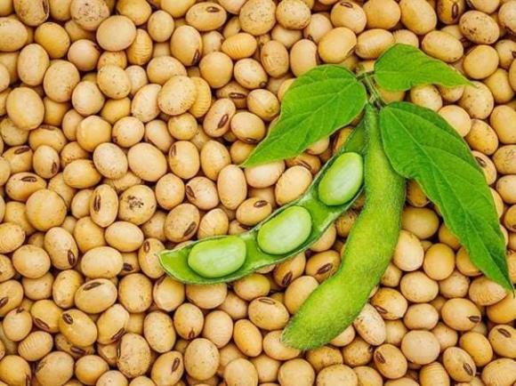 thịt lợn, món ăn kết hợp với thịt lợn, kiến thức