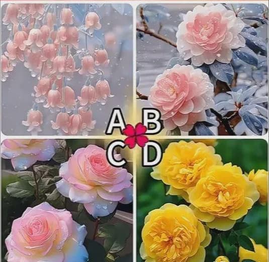 Trắc nghiệm tâm lý