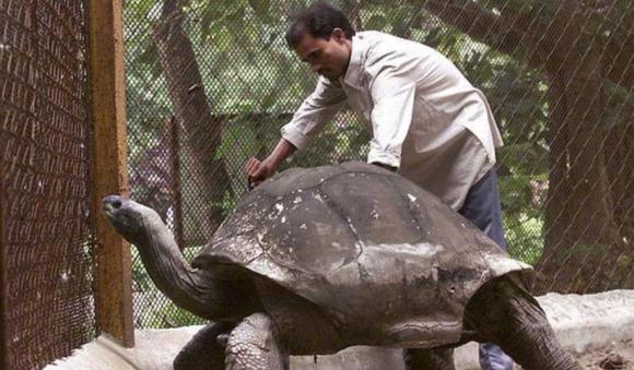 rùa khổng lồ sống lâu nhất thế giới, Aldabra, rùa sống từ thời Càn Long