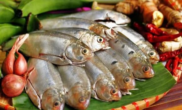 nhân sâm, tổ yến, loại cá không hoá chất, cá cơm, cá thu, cá ngừ, cá trích, cá tuyết, cá mòi, cá da trơn