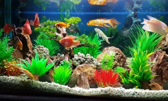 3 thứ này đặt dưới gối thu hút tài lộc, tài lộc, phong thủy gia đình