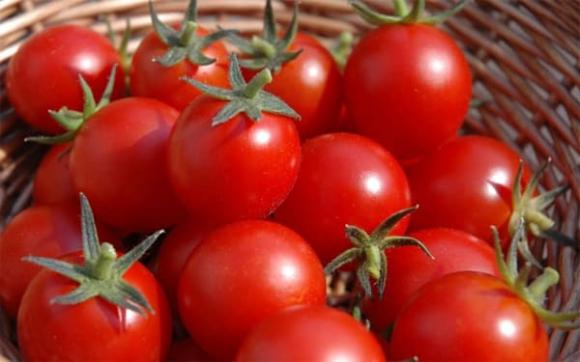 cà chua, thực phẩm sạch, dấu hiệu cà chua có hóa chất