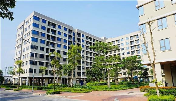 căn hộ, mở bán căn hộ, kiến thức