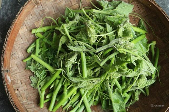 ngọn bí, rau ngọn bí, ngọn bí xào tỏi