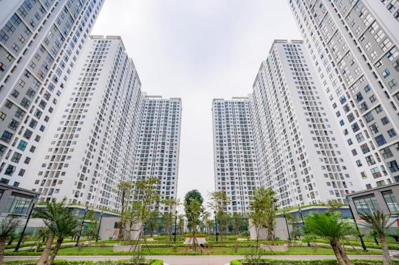 căn hộ, mở bán căn hộ, kiến thức