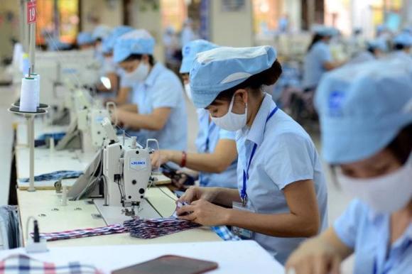 đóng BHXH, lao động hợp đồng, kiến thức