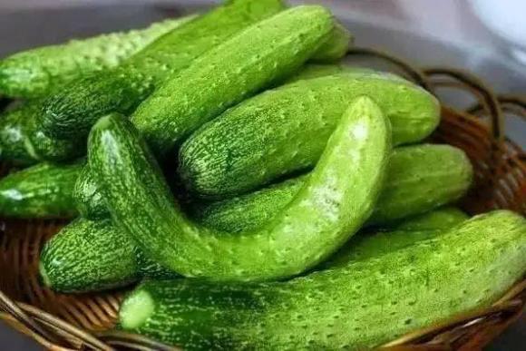 kiêng kị khi ăn dưa chuột, người nên tránh ăn dưa chuột