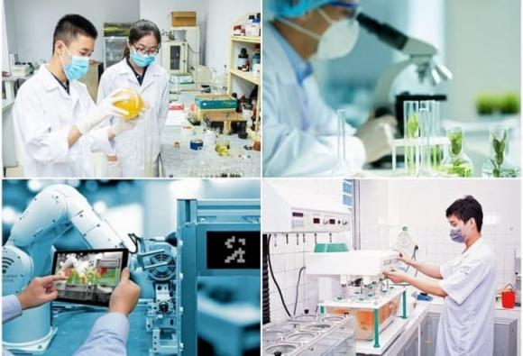 ngành học, sư phạm, lĩnh vực khoa học cơ bản, lĩnh vực kỹ thuật, lĩnh vực công nghệ chiến lược, hỗ trợ tiền