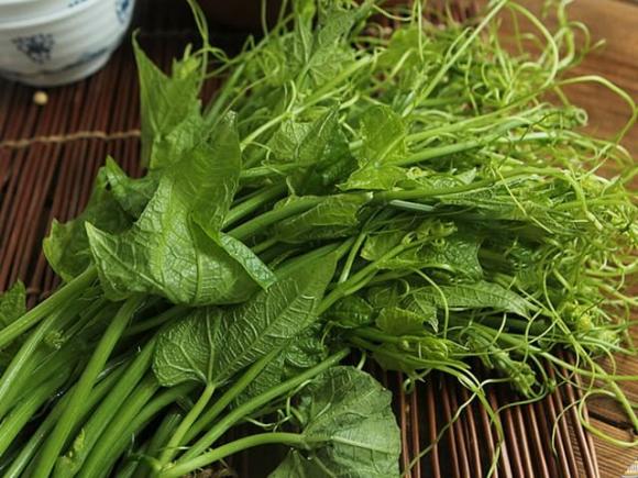 Rau bí, công dụng của rau bí