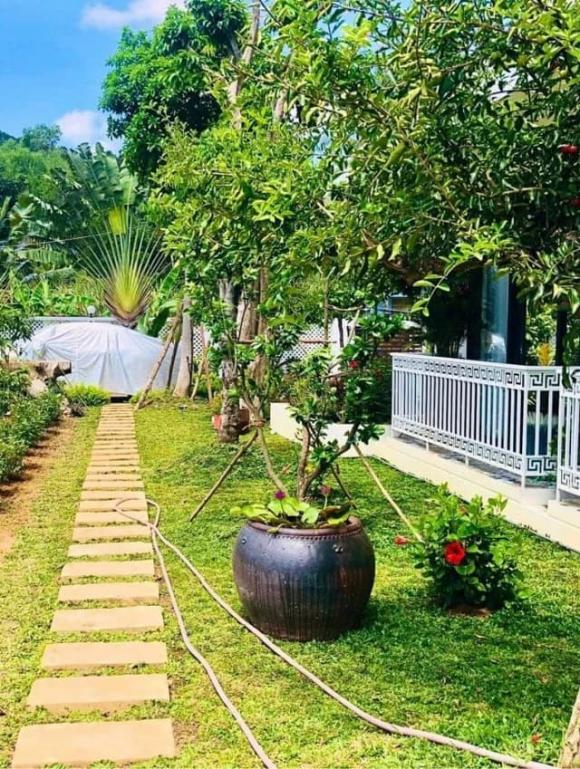 NSƯT Việt Anh, diễn viên Việt Anh, sao Việt