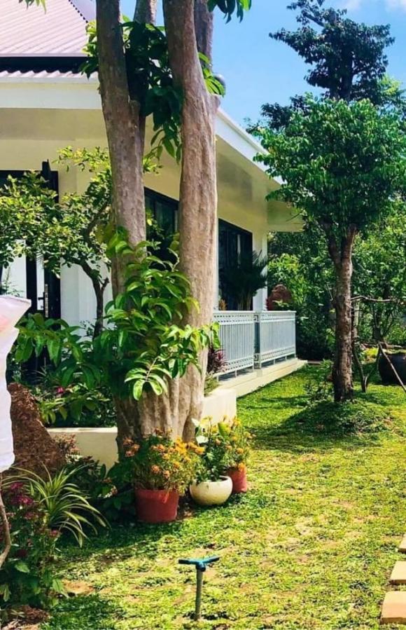 NSƯT Việt Anh, diễn viên Việt Anh, sao Việt