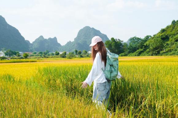 Sao Việt 25/6, tin sao việt mới nhất